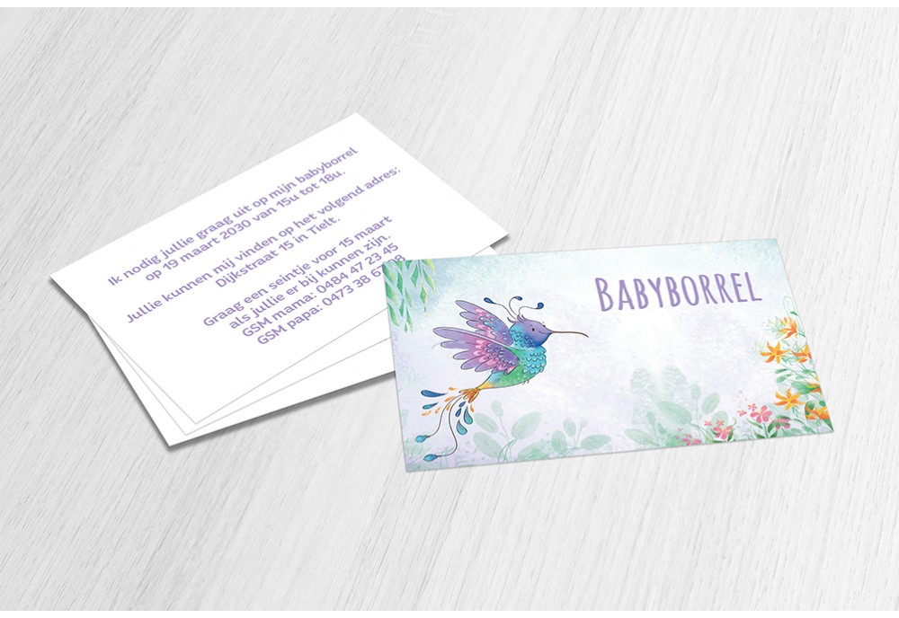 Kleurrijke kolibri Kleurrijke kolibri