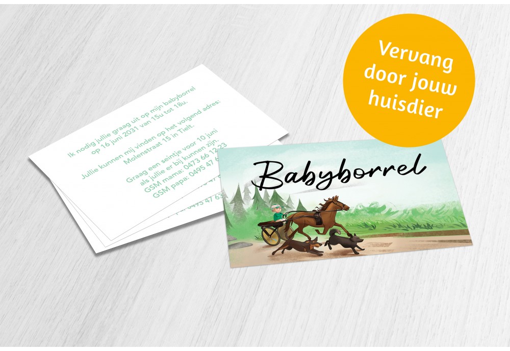 Paardenkoets met dieren