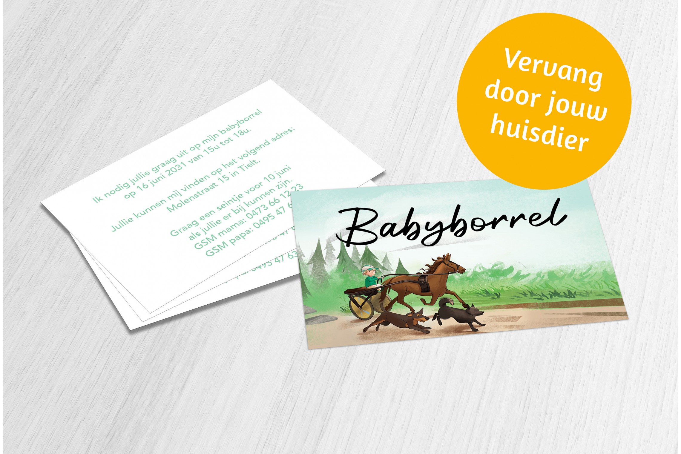 Paardenkoets met dieren