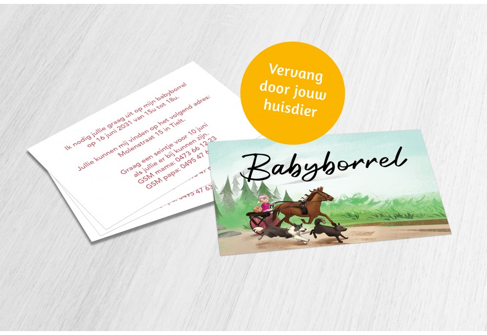 Paardenkoets met dieren meisje