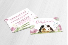 border collie bij mandje border collie bij mandje