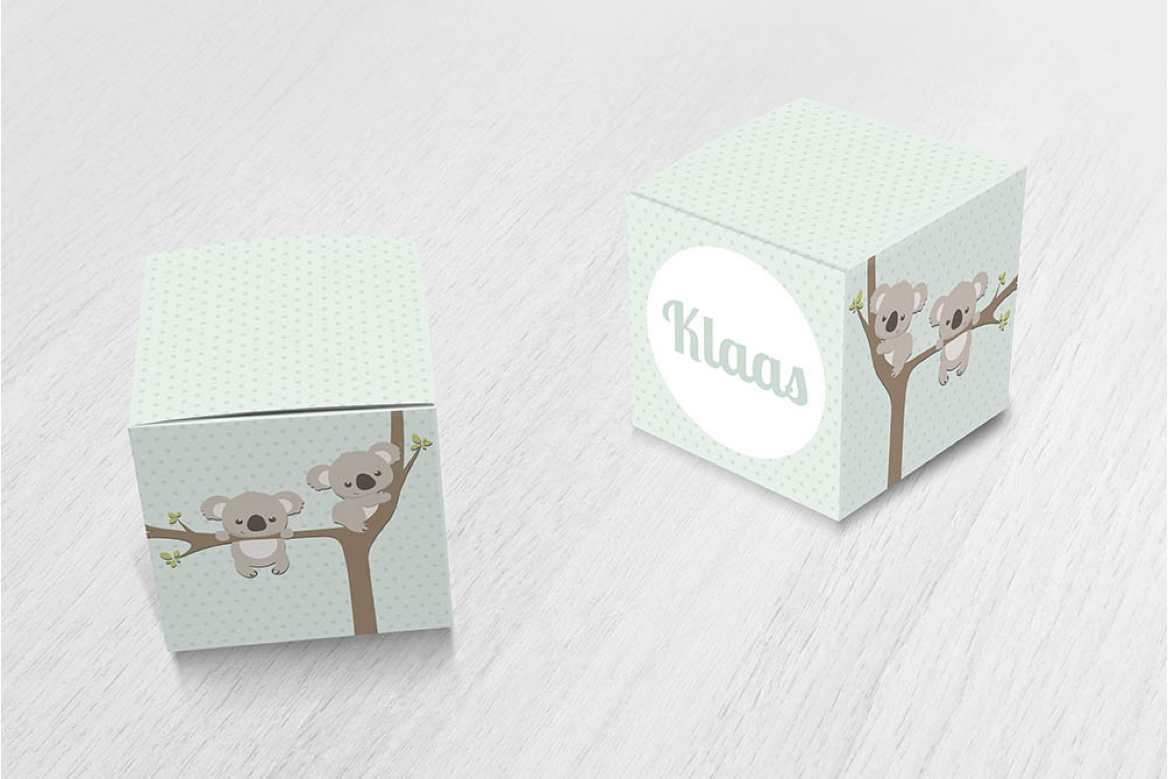 Schattige koalabeertjes