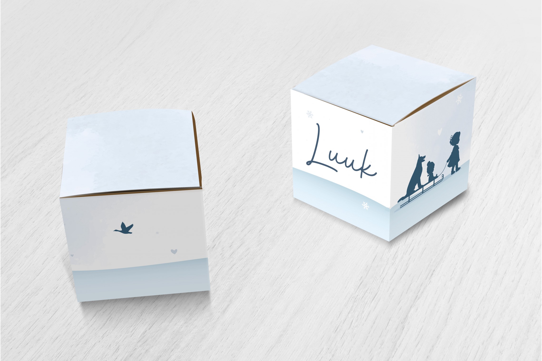 Broertje op een slee