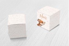 Vosje met vlinder