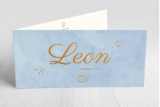 Blauw met bronzen leeuw Blauw met bronzen leeuw