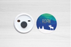Eland met noorderlicht Eland met noorderlicht