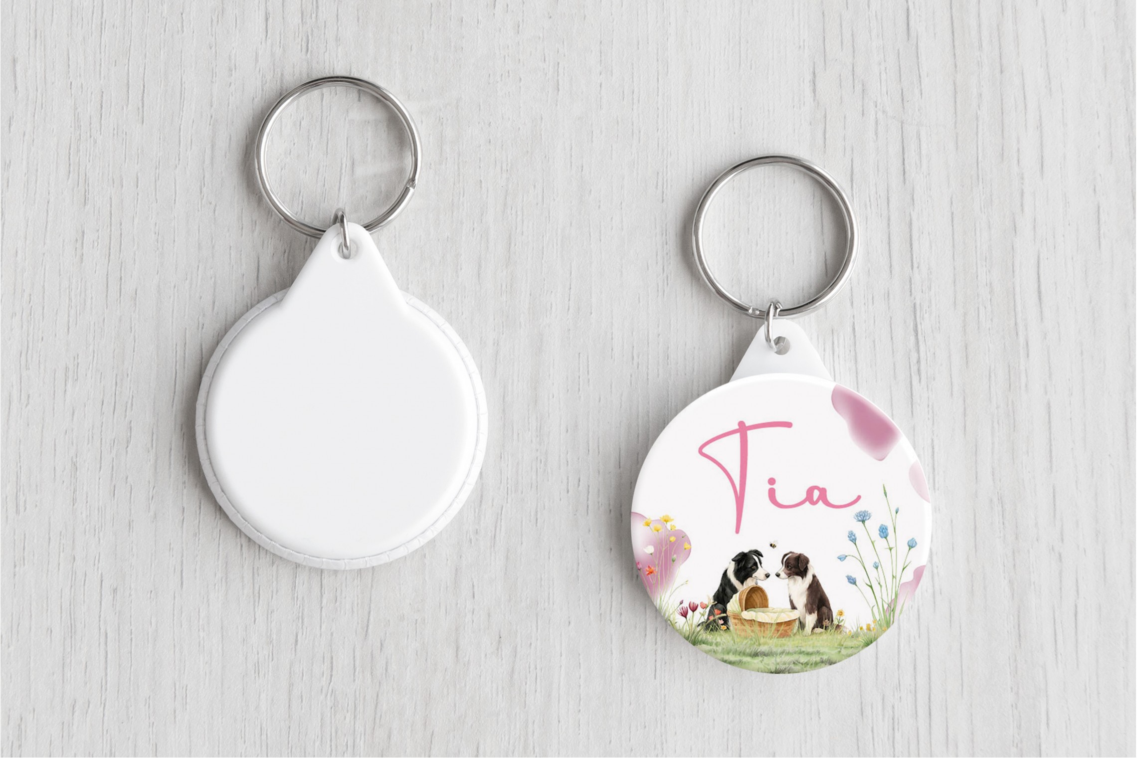 border collie bij mandje