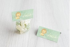 Lief leeuwtje Lief leeuwtje