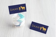 Jongen met koetje Jongen met koetje