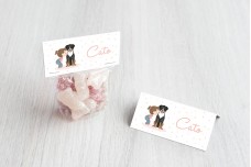 Kusje aan hond