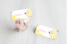 Koolmeesje met aquarel