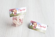 Lieve kleine zus