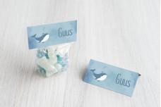 Lieve walvis Lieve walvis