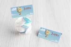 Luchtballon met beer Luchtballon met beer