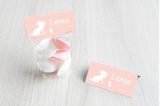 Meisje met konijntje Meisje met konijntje