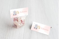 Nijlpaardje en regenboog Nijlpaardje en regenboog
