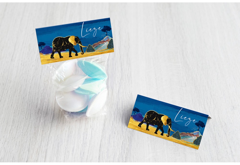 Olifant in savanne Olifant in savanne