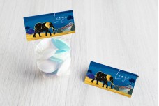 Olifant in savanne Olifant in savanne