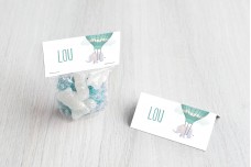 Luchtballon met olifantje