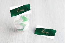 Groene veeg