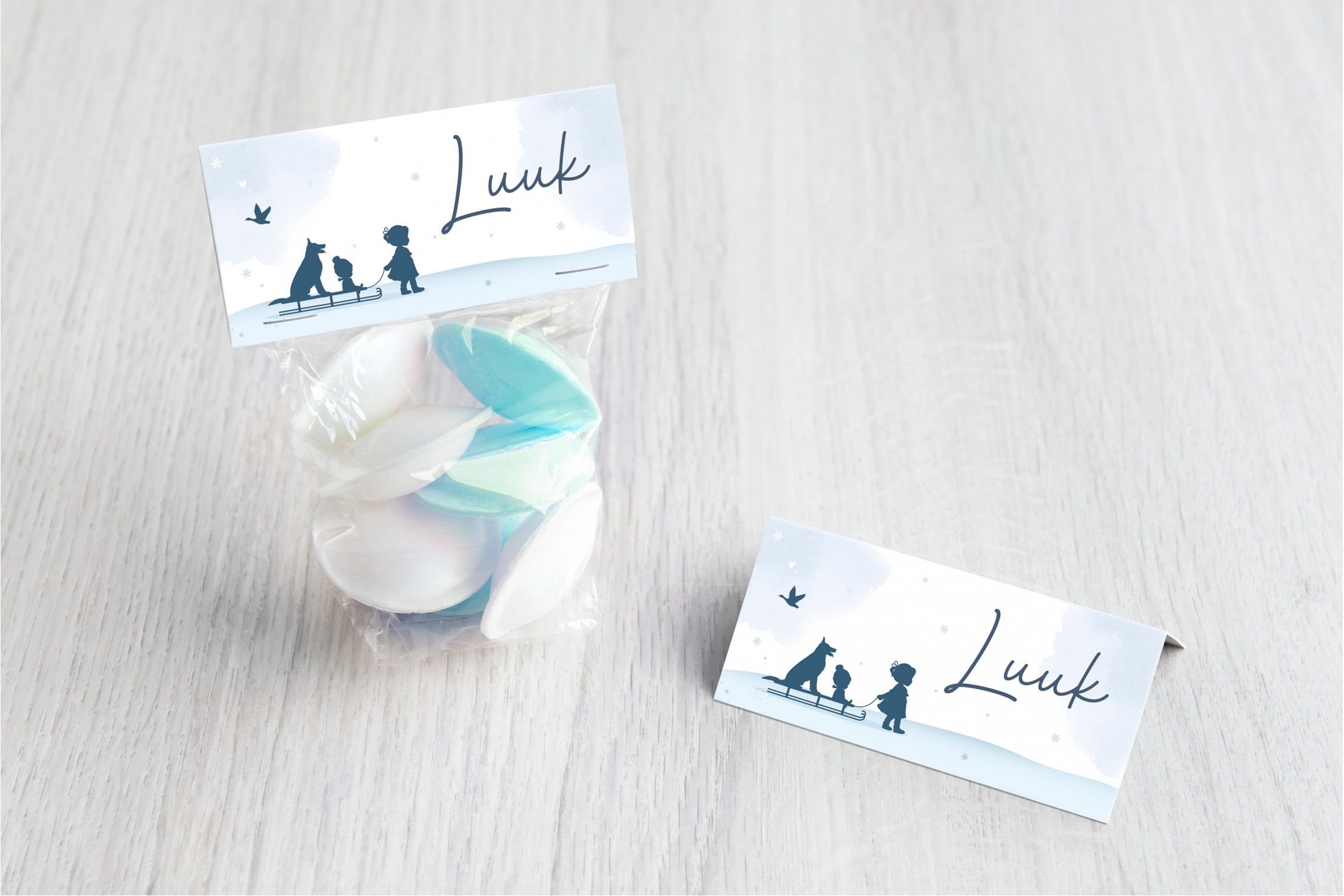 Broertje op een slee