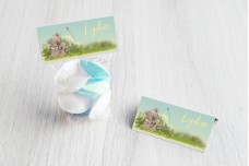 Koalabeertjes Koalabeertjes