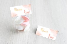 Roze wieg met broer