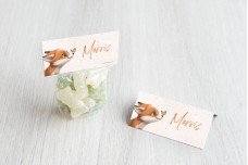 Vosje met vlinder Vosje met vlinder
