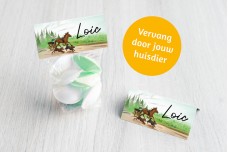Paardenkoets met dieren Paardenkoets met dieren