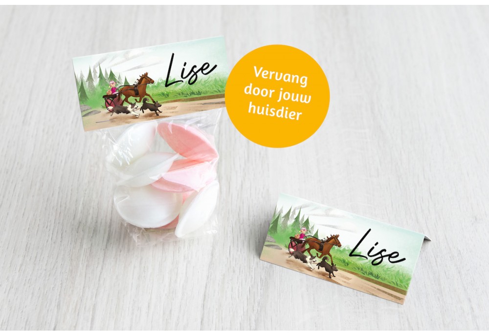 Paardenkoets met dieren meisje