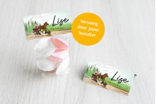 Paardenkoets met dieren meisje Paardenkoets met dieren meisje