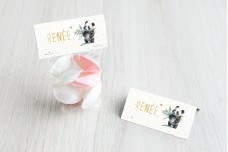 Kleine panda met blaadjes vast Kleine panda met blaadjes vast