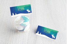 Eland met noorderlicht Eland met noorderlicht