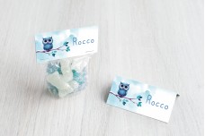 Lieve uil blauw