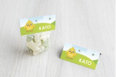 Kuiken in lente Kuiken in lente