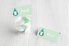 Pinguin met uiltje groen Pinguin met uiltje groen