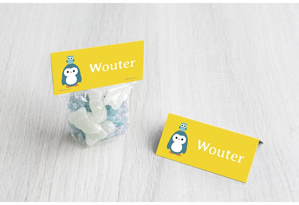 Pinguin met uiltje Pinguin met uiltje