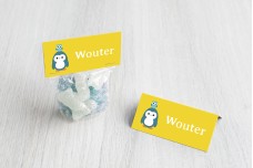 Pinguin met uiltje Pinguin met uiltje