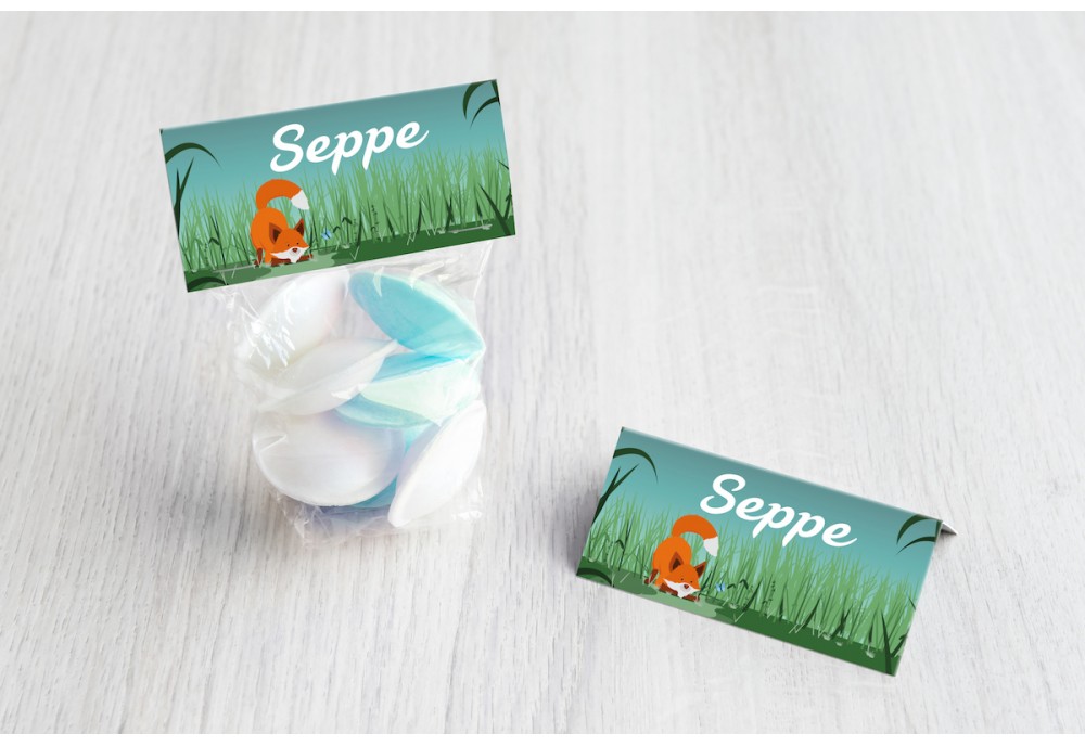 Spelend vosje Spelend vosje