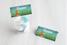 Spelend vosje Spelend vosje