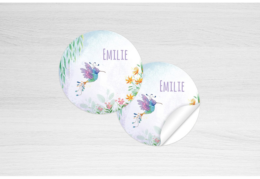 Kleurrijke kolibri Kleurrijke kolibri