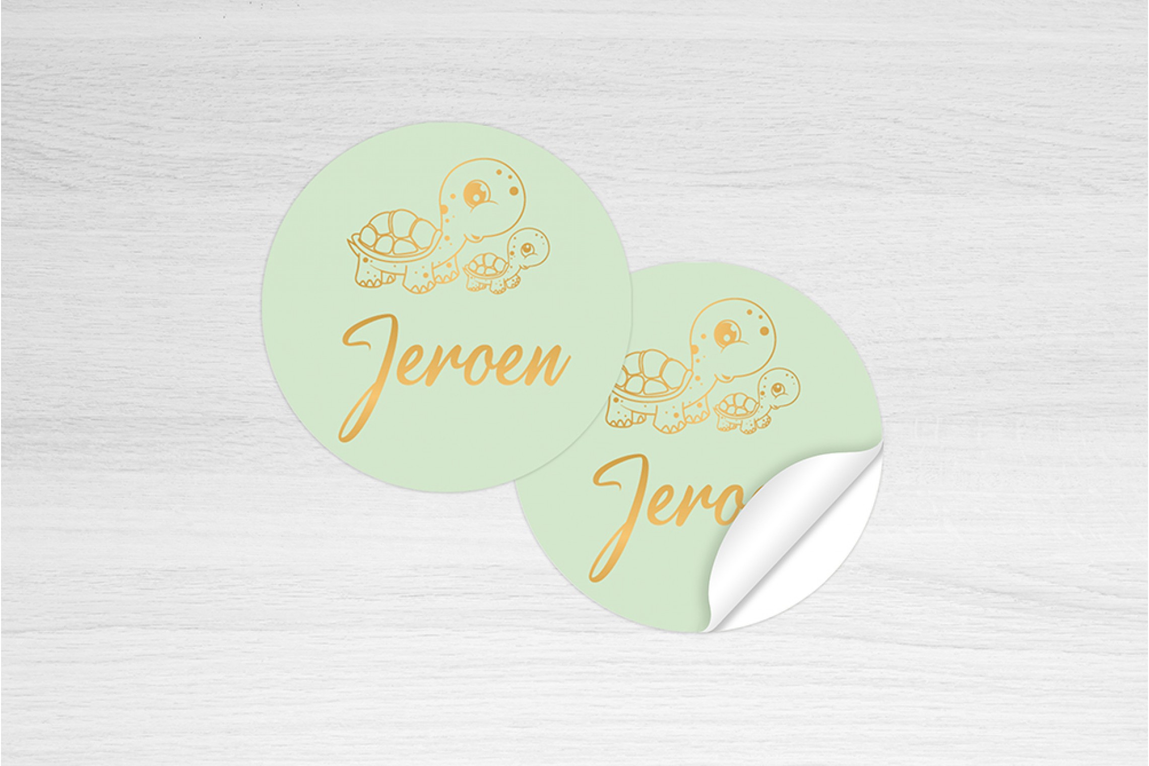 Twee schildpadjes