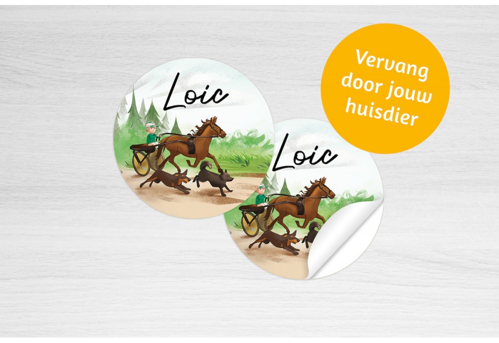 Paardenkoets met dieren