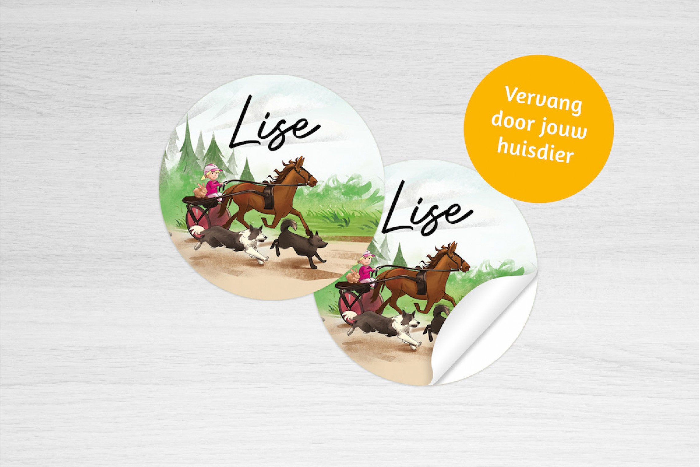 Paardenkoets met dieren meisje