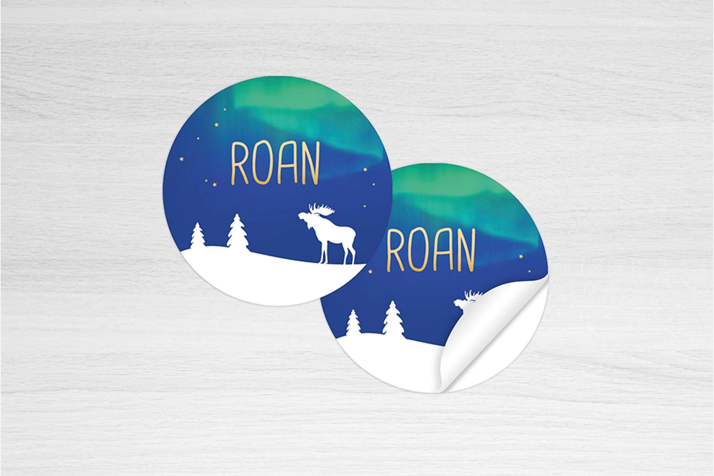 Eland met noorderlicht