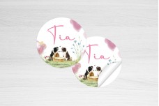 border collie bij mandje