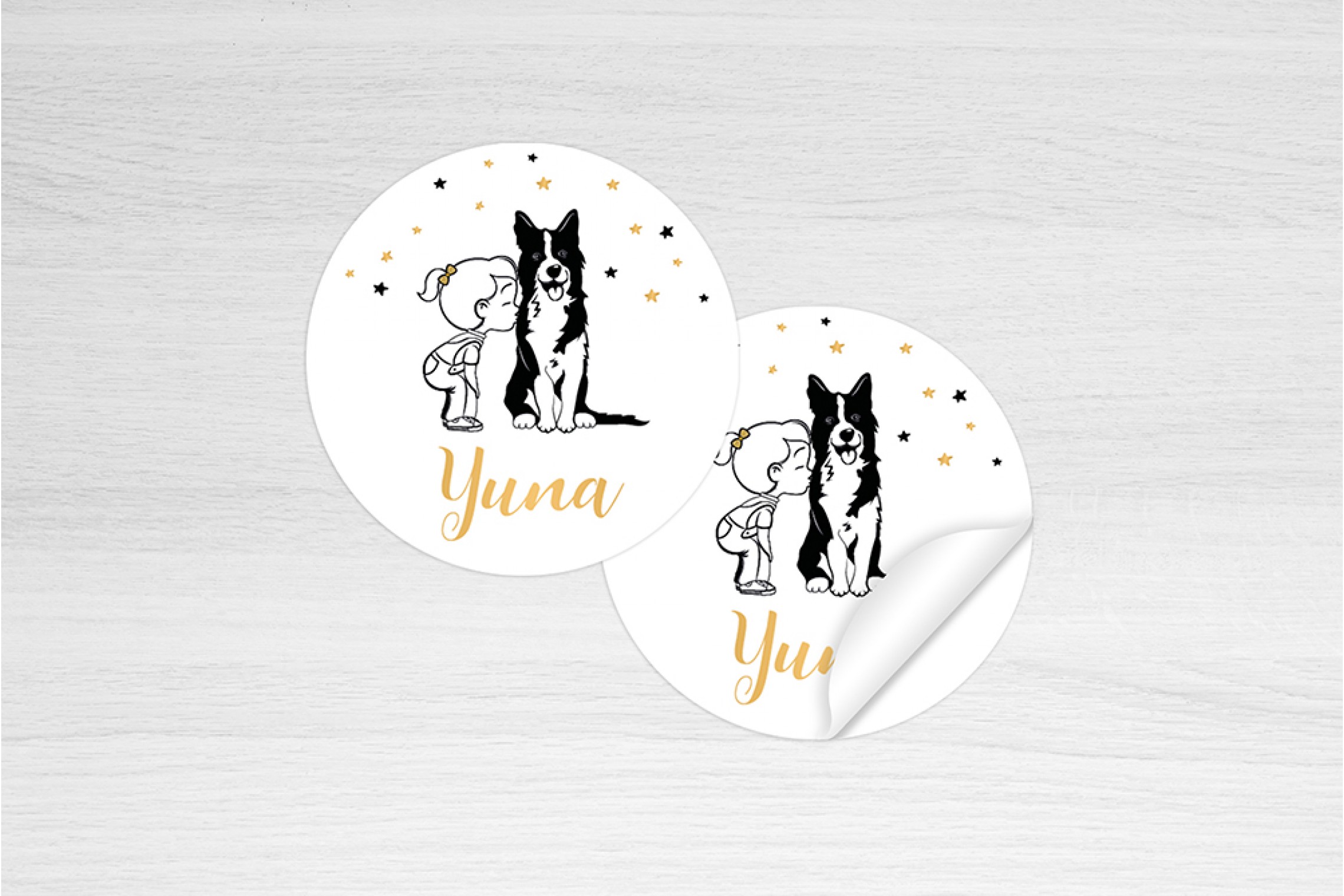Meisje met Border Collie