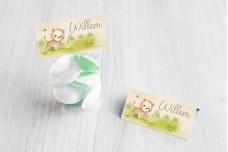 Leeuwtje speelt met vlinder