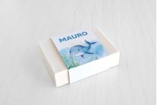 Lachende walvis Lachende walvis