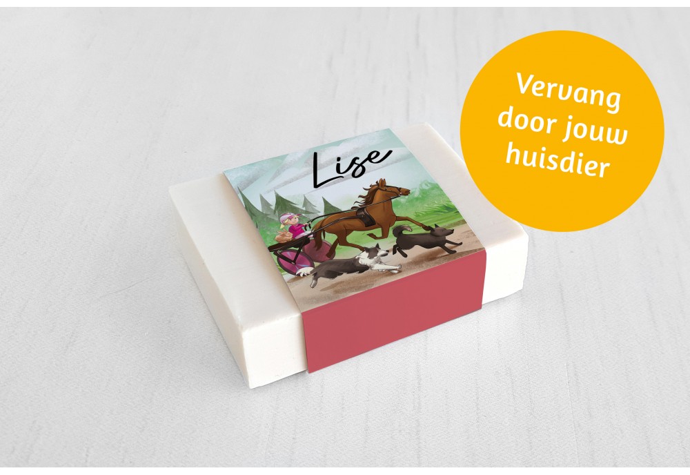 Paardenkoets met dieren meisje